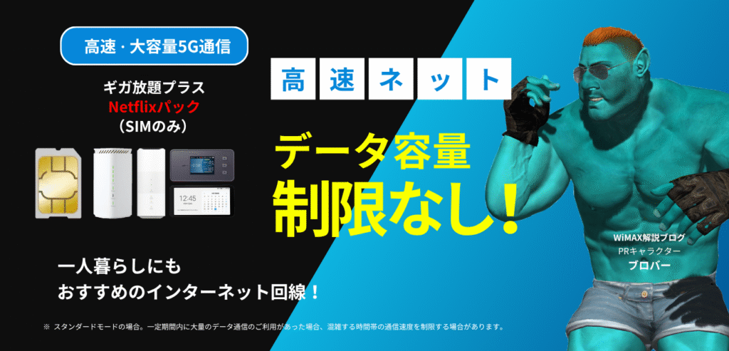ギガ放題プラス Netflixパック（SIMのみ）