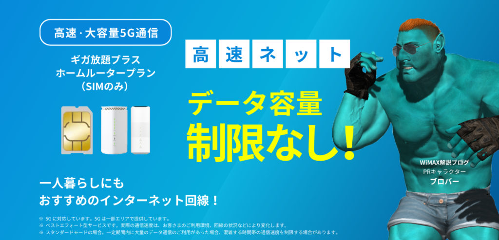 ギガ放題プラス ホームルータープラン（SIMのみ）